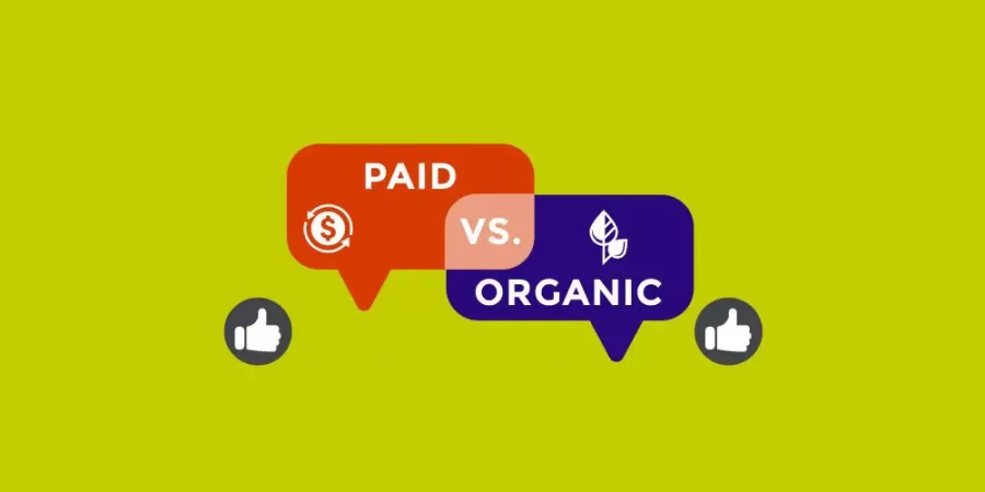 How to leverage paid and organic marketing strategies to drive business growth